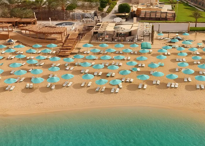 Flow Spectrum Sahl Hasheesh